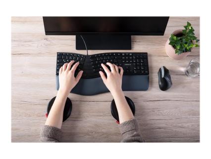 Image e373c25f-06f0-450e-9709-c03819ab0a06.jpg Image