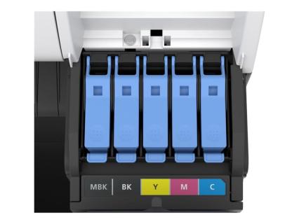 Image e377370f-740f-45a9-a2ab-341a60cc5ad4.jpg Image