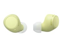 Image e5a3ef45-198b-42ad-96f1-a5c67163dd17.jpg Image