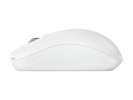 Image e8624461-a393-448c-a8f5-0e5ffb18861d.jpg Image