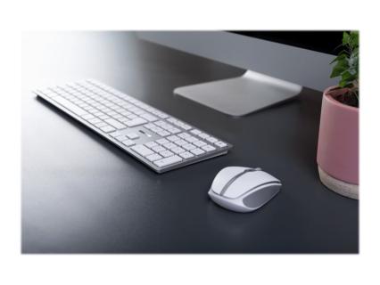 Image ebf2ae31-6c64-4abd-9a5a-49ee8c996a12.jpg Image