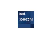 INTEL Xeon E-2378G S1200 Tray