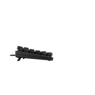 Image ed03b9a31f4fd2dd844583b5e4d7cf2d.jpg Image