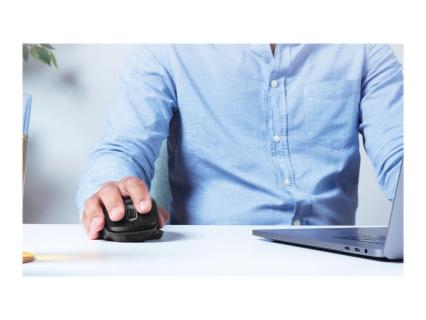 Image edc284e5-bdea-4d3f-84ec-af4d662d0b87.jpg Image