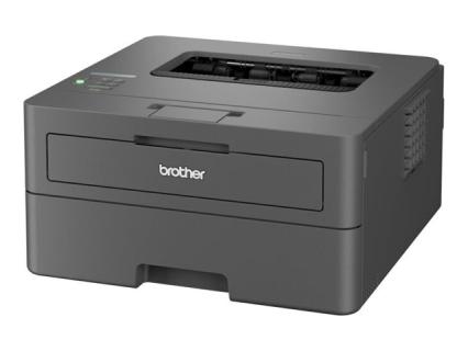 Image f2e76046-59ff-4d69-b3e4-20743ab43f2f.jpg Image