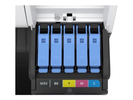 Image f35718de-544c-4c8c-b0bd-c8824fe25997.jpg Image