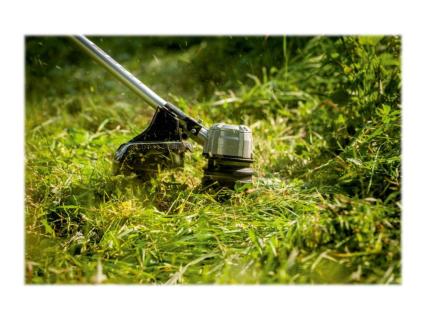 Image f4a58f2e-4a47-4081-99e2-eb878bae0217.jpg Image