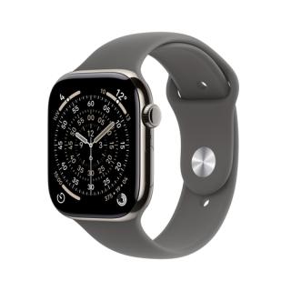 APPLE Watch S11 Titan Natur Cellular 42mm (Sportarmband steingrau) S/M
