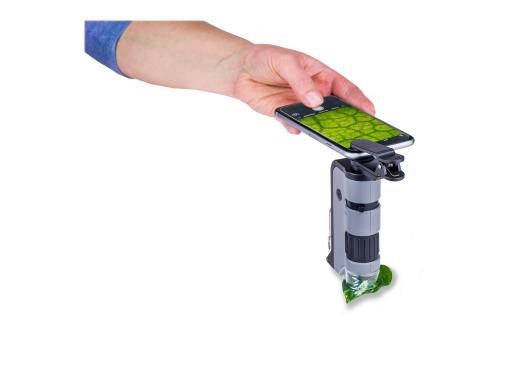 Image f946e046-de3e-43ca-8310-2d7d3b8ceae5.jpg Image