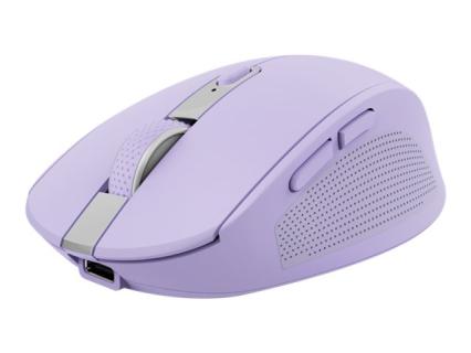 Image fcab9414-6bd0-4589-a022-e0d92b9657e2.jpg Image