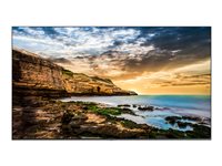 Image fcf31a43-16af-4863-9e98-18155834c360.jpg Image