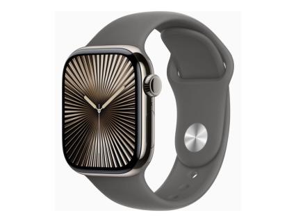 Apple Watch Series 10 42 mm Titan (GPS+Cellular) Sportarmband S/M  steingrau, natur