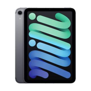 Image iPad_mini_A17_Pro_Space_Gray_Cellular_2-Up_Print__USEN_0adc.jpg Image