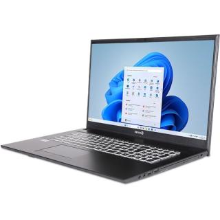 TERRA MOBILE 1716R 43,9cm (17,3") i5-1334U 16GB 500GB W11